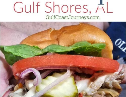 The Sloop Gulf Shores