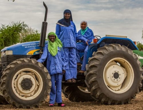 World Bank-hosted fund announces $38 million in grants to support smallholder farmers across Africa, Asia, and the Americas