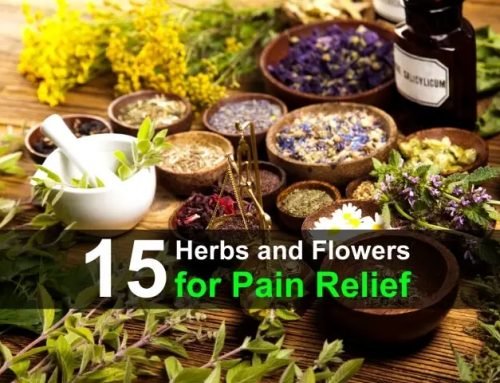 15 Best Herbs and Flowers for Pain Relief