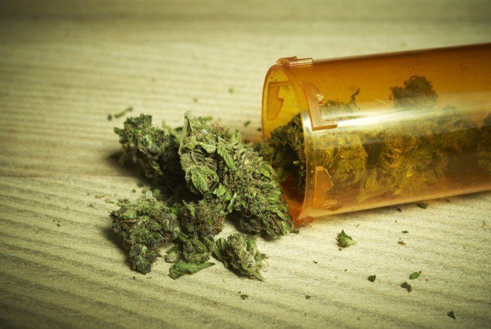 marijuana pot marijuana pot