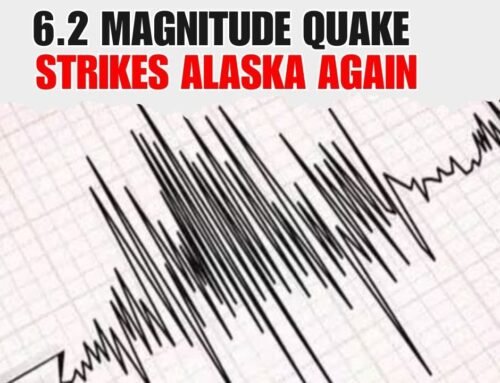 Second Major Quake in a Week: 6.2 Magnitude Earthquake Strikes Alaska |NewsX