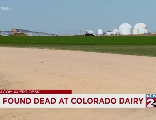 6 found dead at Colorado dairy facility