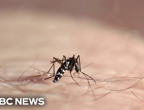 Man in Colorado hospitalized with West Nile virus as more cases reported