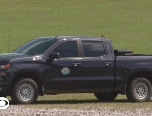 New details released in Arkansas bear attack
