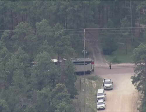 ICE agents searching for suspects near Black Forest