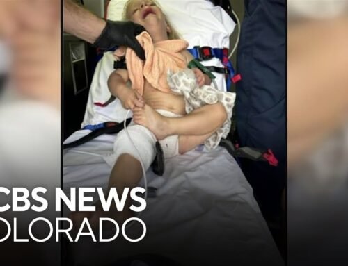 Jury finds deputy not guilty in mauling of Colorado toddler, father