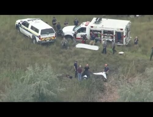 LIVE: Horse rescue in Colorado (credit: KDVR)