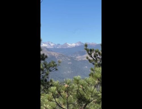 Sandhill cranes migrate through Colorado