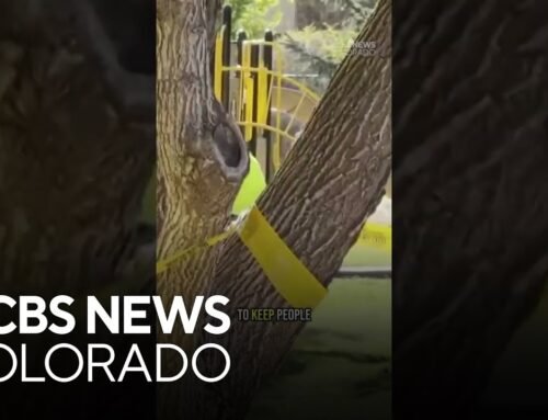 Residents in Pagosa Springs, Colorado assess damage from weekend flooding