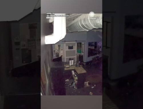 Bears Break Into Colorado Gym
