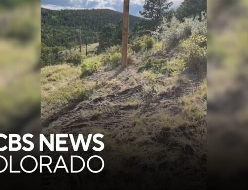 Colorado family says utility crew caused thousands in damage while replacing electrical poles