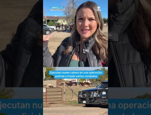 Orden de cateo movilizó a más de 20 agencias a través de varios condados en Colorado