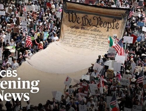 “No Kings” protests express fear, frustration with Trump administration