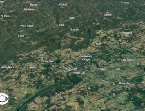 Bear attack reported in Arkansas