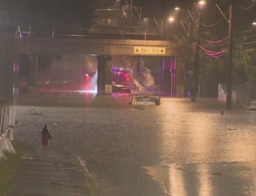 Kansas City Metro sees heavy rains, storm damage Sunday morning