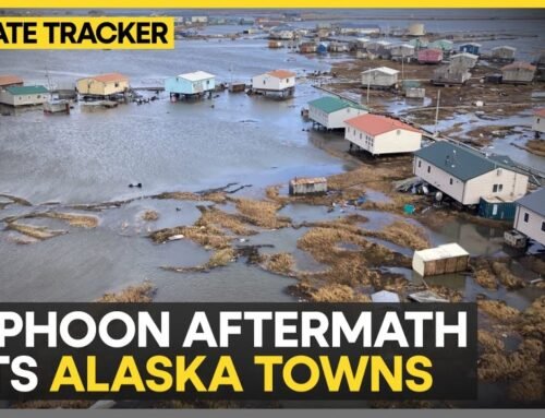 Typhoon Remnants Ravage Western Alaska | Major Damage Reported | WION CLIMATE TRACKER