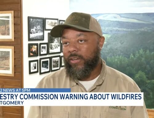 Alabama forestry leaders urge caution when burning