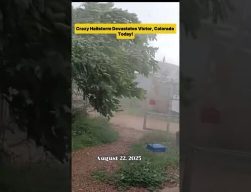 Crazy Hailstorm Devastates Victor, Colorado Today! #ColoradoWeather #Hailstorm #ExtremeWeather #Colo