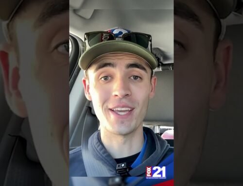 Five Colorado  Bears Begin New Life in the Wild