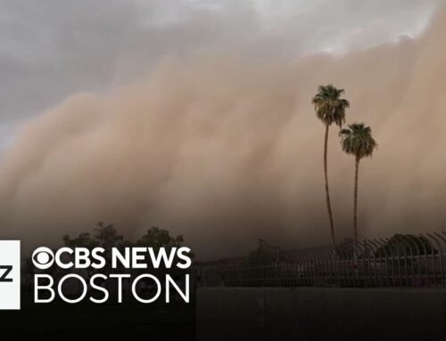Dust storms in Arizona and Nevada ground flights, disrupt festivals