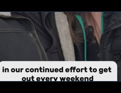 Exploring Colorado: Pepper’s Senior Dog Sanctuary