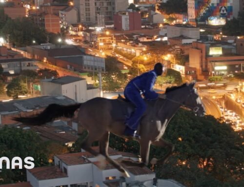 BAD BUNNY ft. FEID – PERRO NEGRO (Visualizer) | nadie sabe lo que va a pasar mañana