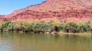 What some Utah leaders want to see out of this week’s Colorado River meetings