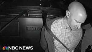 Newly released cockpit audio reveals chaos as off-duty pilot tried to shut off engines