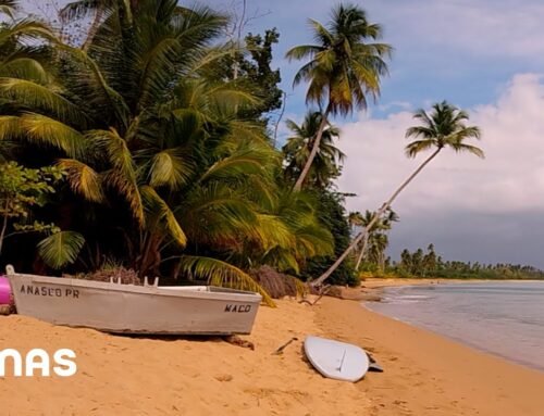 Bad Bunny – El Apagón (360° Visualizer) | Un Verano Sin Ti