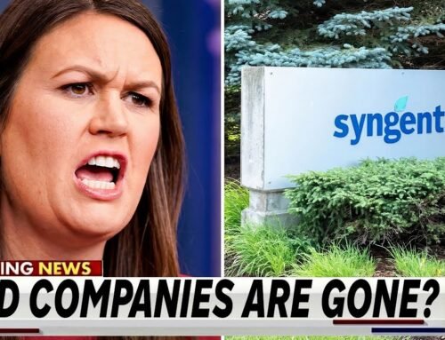 Major Farm Seed Companies Are Leaving Arkansas!