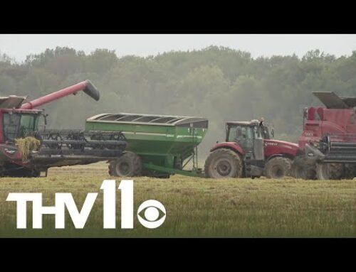 Economic crisis threatens future of family farms in Arkansas