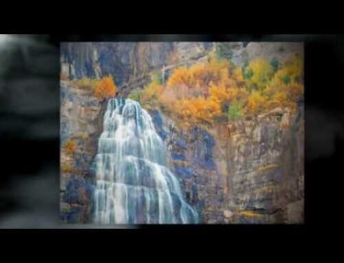 Utah Newspapers Video