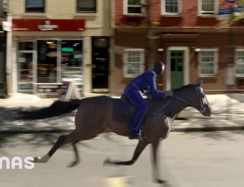 BAD BUNNY ft. LUAR LA L – TELEFONO NUEVO (Visualizer) | nadie sabe lo que va a pasar mañana