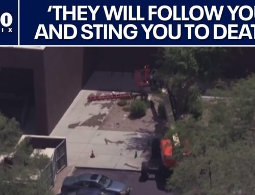Victim killed in Scottsdale bee attack | FOX 10 Phoenix