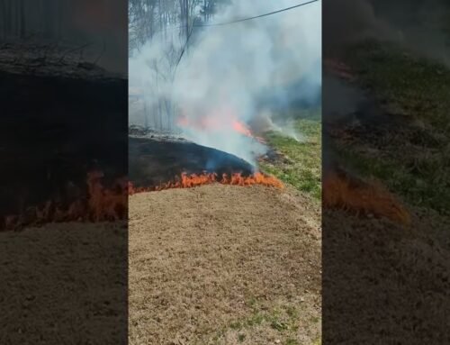 Grass fire in Tuscaloosa, Alabama