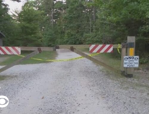 Bear suspected of attacking camper in Arkansas has been killed