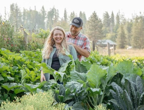 Self-Sufficiency Is a Myth (And Why Skills Matter More) — Homesteading Family