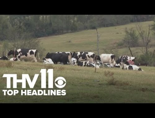 Arkansas’s nightly headlines | January 5, 2026