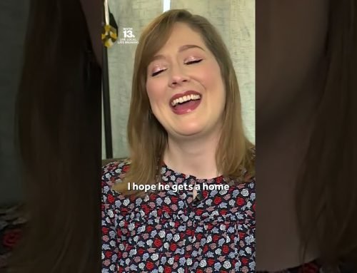 Adorable video shows four-eared cat in Alabama