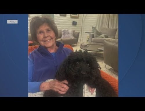 The mother of ‘Today’ show host missing in Arizona