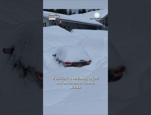 Juneau, Alaska Snow Storm: Cars Buried, Roofs Collapsed, Boats Sunk