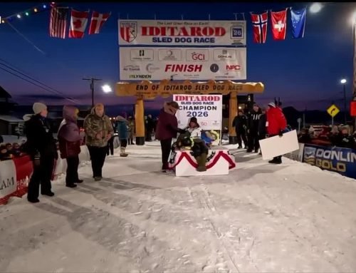 Jessie Holmes repeats as Iditarod champion