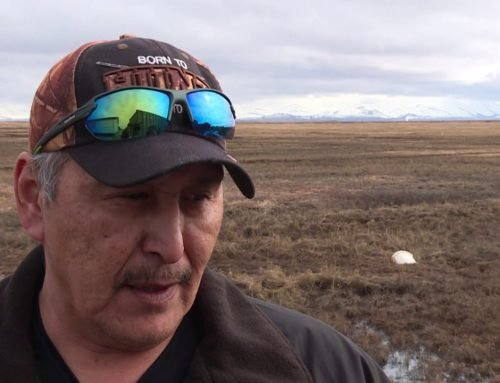 Alaska’s thaw uncovers treasure trove of Eskimo artifacts