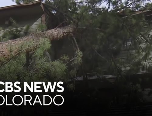 Downed trees, flipped semi-trucks, power outages, a brush fire: Wind wreaks havoc across Colorado