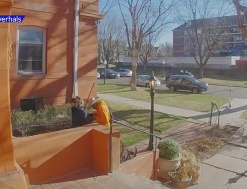 House cleaner robbed in broad daylight in Denver