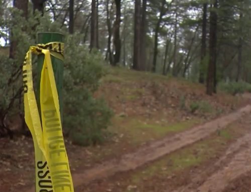 Hiker in Colorado killed in suspected mountain lion attack