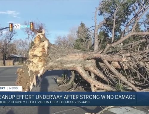 Back‑to‑back windstorms batter Colorado, leave tens of thousands without power