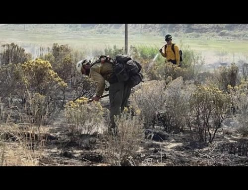 Trump administration denies disaster declarations for Colorado