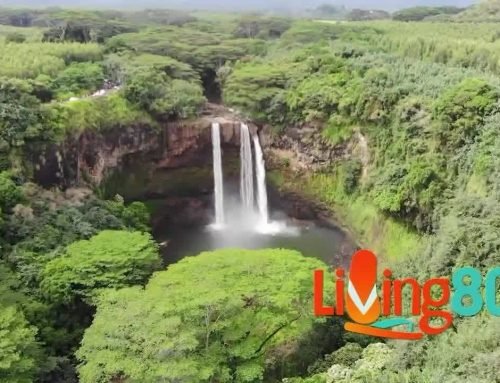 Grazing for Good: How Ranchers and Recreationists Share Colorado’s Open Spaces