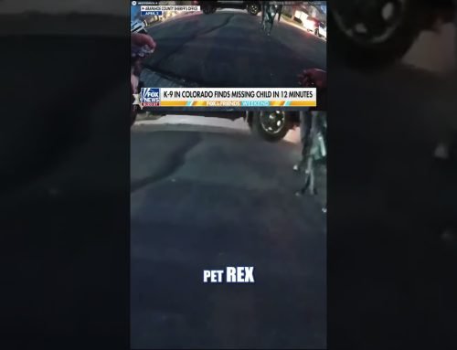 WATCH: Sheriff’s dog tracks down missing child in Colorado #foxnews #news #shorts #police